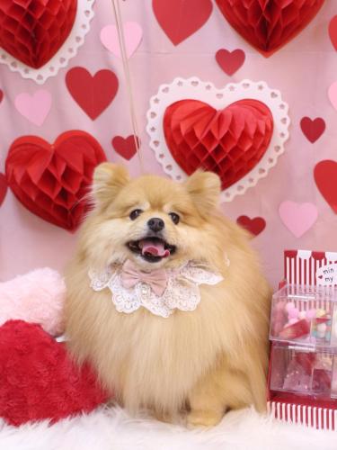 20240223梛都ちゃん